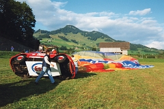Coccinelle-montgolfiere - Cox Ballon (27)